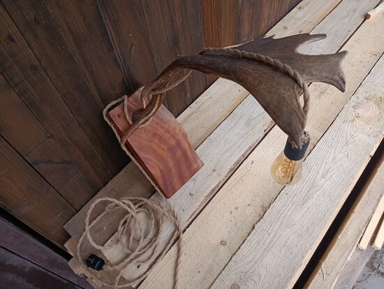 Dambrieža raga lampa